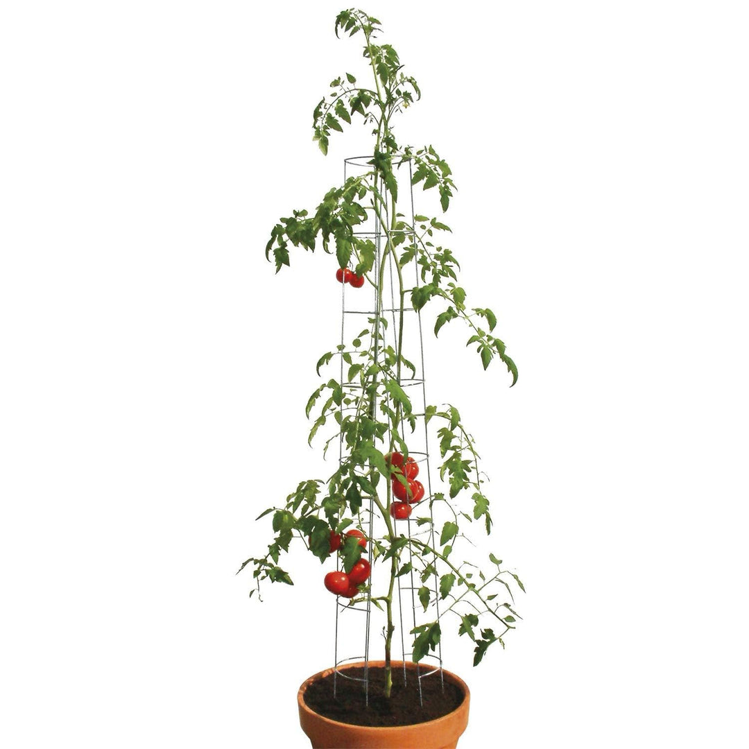 bellissa – Tomaten Rankhilfe aus Stahl 120cm 3er Set verzinkt – Tomatenturm Rankgitter für Tomaten,