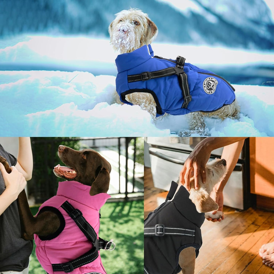 Hundemantel für Kleine Hunde Wasserdicht,Hundemantel mit Geschirr, Winterjacken &amp; Wintermäntel für H