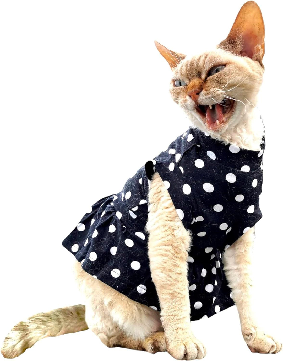 Kotomoda Katzen Kleid Polka-Dot Sphynx Katzen (M), M