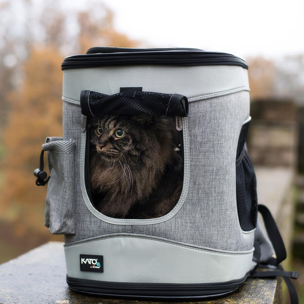 Katzenrucksack Hunderucksack bis 6.8KG, Faltbare Haustier Tragetasche mit Innerer Sicherheitsleine u