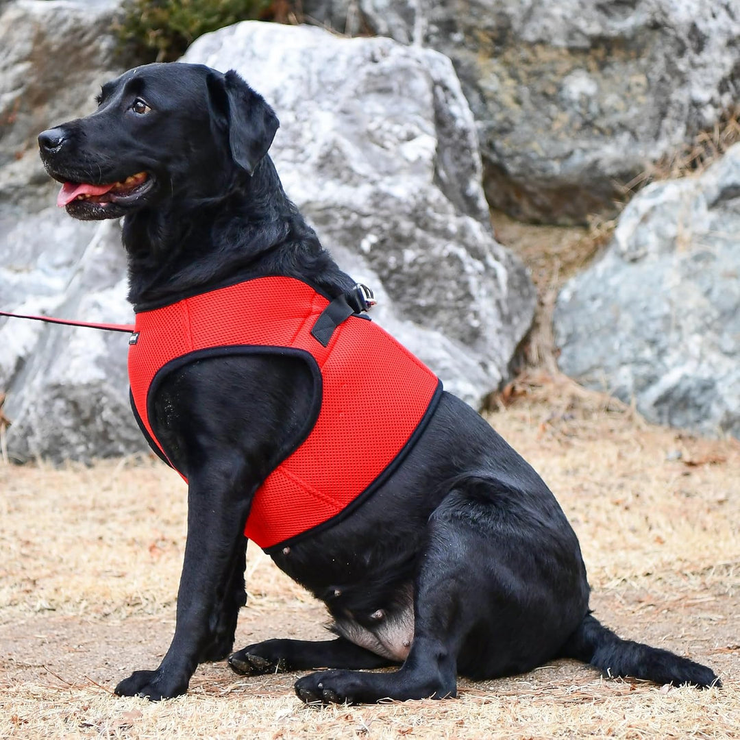 Puppia Hundegeschirr für kleine und mittelgrosse Hunde - weiche Weste in vielen Farben - Auch als We