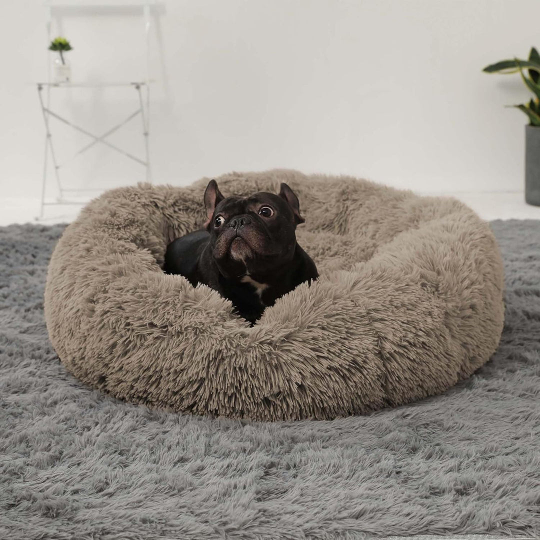 HACHIKITTY Hundebett, beruhigendes Donut-Kuschelbett, mittelgrosse Hundebetten, flauschig, beruhigen