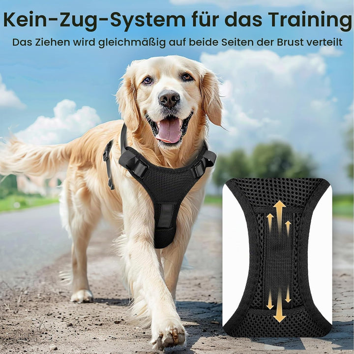 Light Up Dog Hundegeschirr Leuchtend LED Aufladbar - Leuchtgeschirr Leuchtend für Klein Mittelgrosse