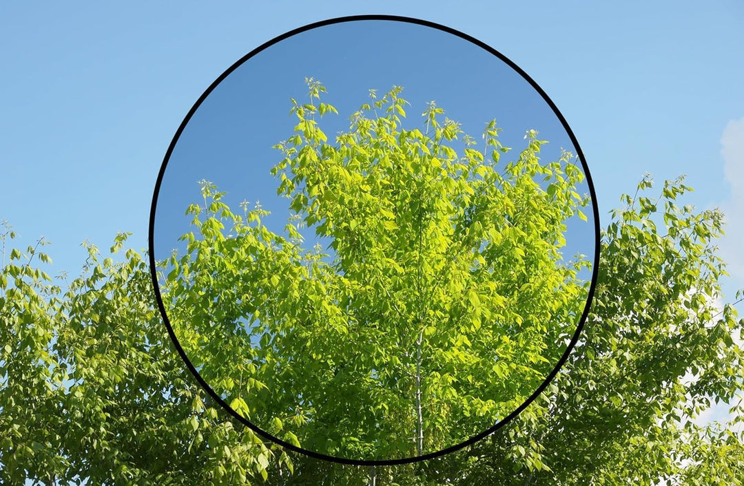 Zirkularpolarisationsfilter kompatibel mit Nikon AF-S DX NIKKOR 18–200 mm 1:3,5–5,6G ED VR II