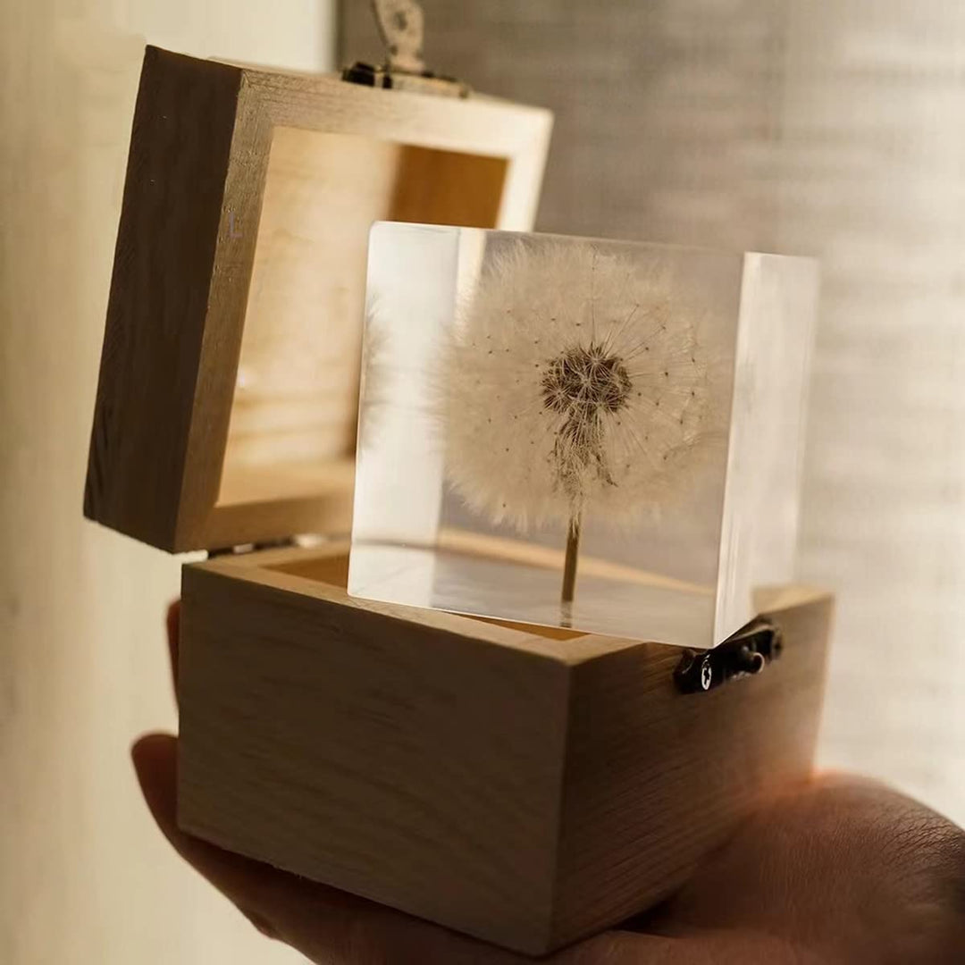 DESHINTKE Briefbeschwerer mit Pusteblume in Würfelform, mit Holzbox, 5,1 cm, transparent, echte Löwe