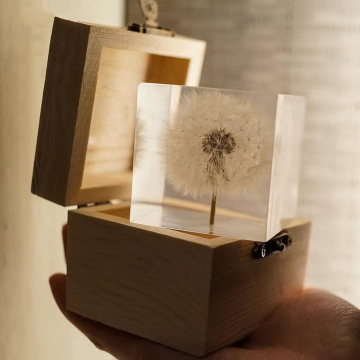 DESHINTKE Briefbeschwerer mit Pusteblume in Würfelform, mit Holzbox, 5,1 cm, transparent, echte Löwe