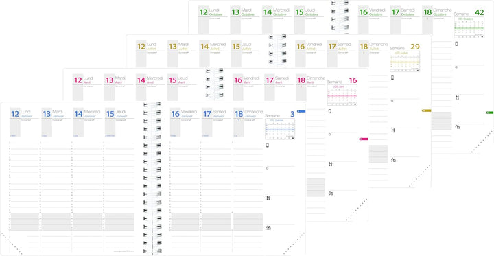Quo Vadis - Kollektion: Time & Life Time & Life Medium mit Gummizug – Kalender – Wochenansicht – For