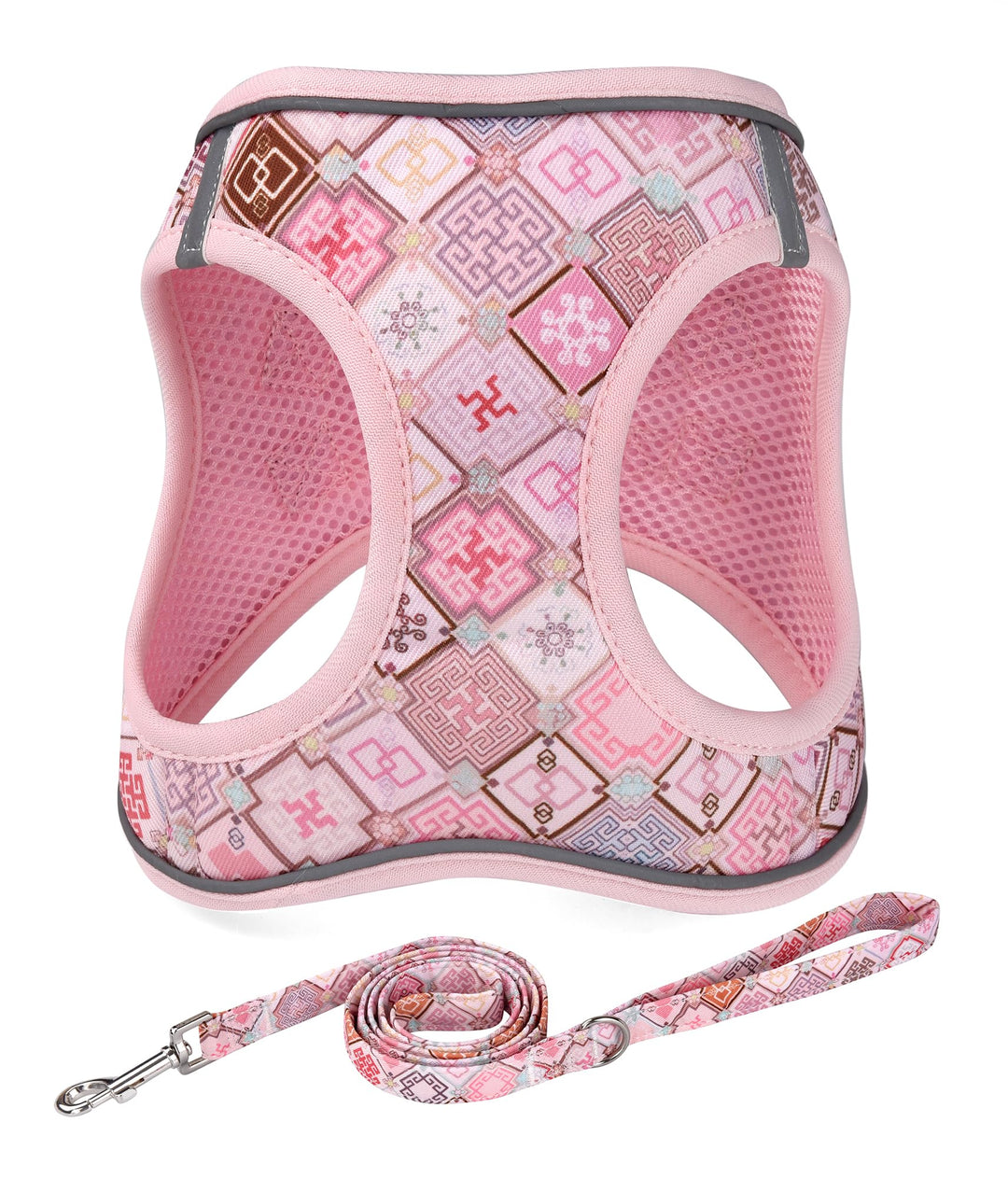 Mihqy Hundegeschirr Kleine Hunde mit Leine, Step-in Geschirr aus Air Mesh, Anti Zug Reflektierend At