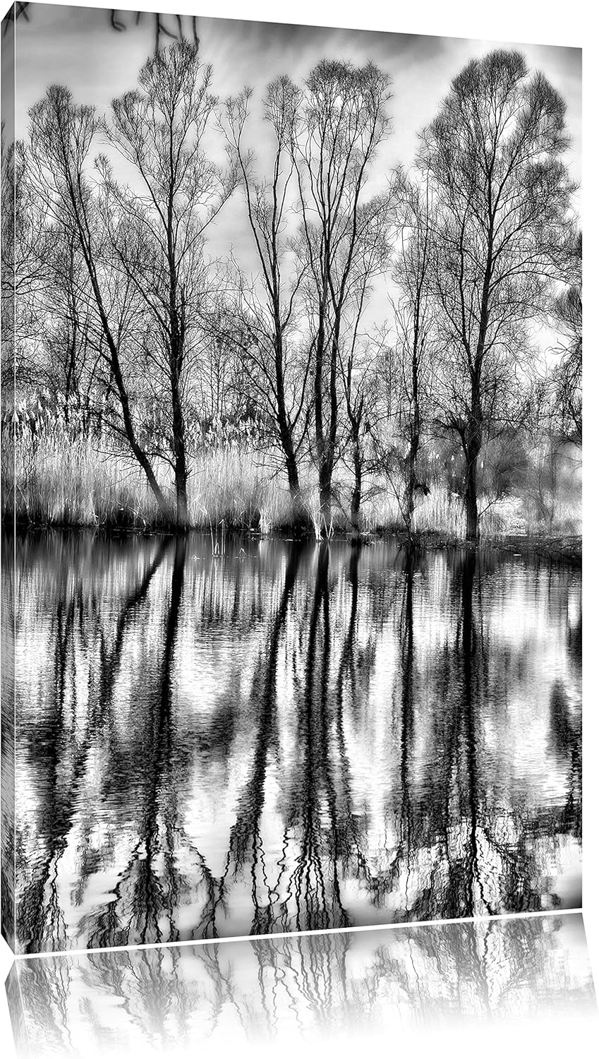 Pixxprint Monocrome, Bäume spiegeln Sich im Wasser, Format: 100x70 auf Leinwand, 100x70