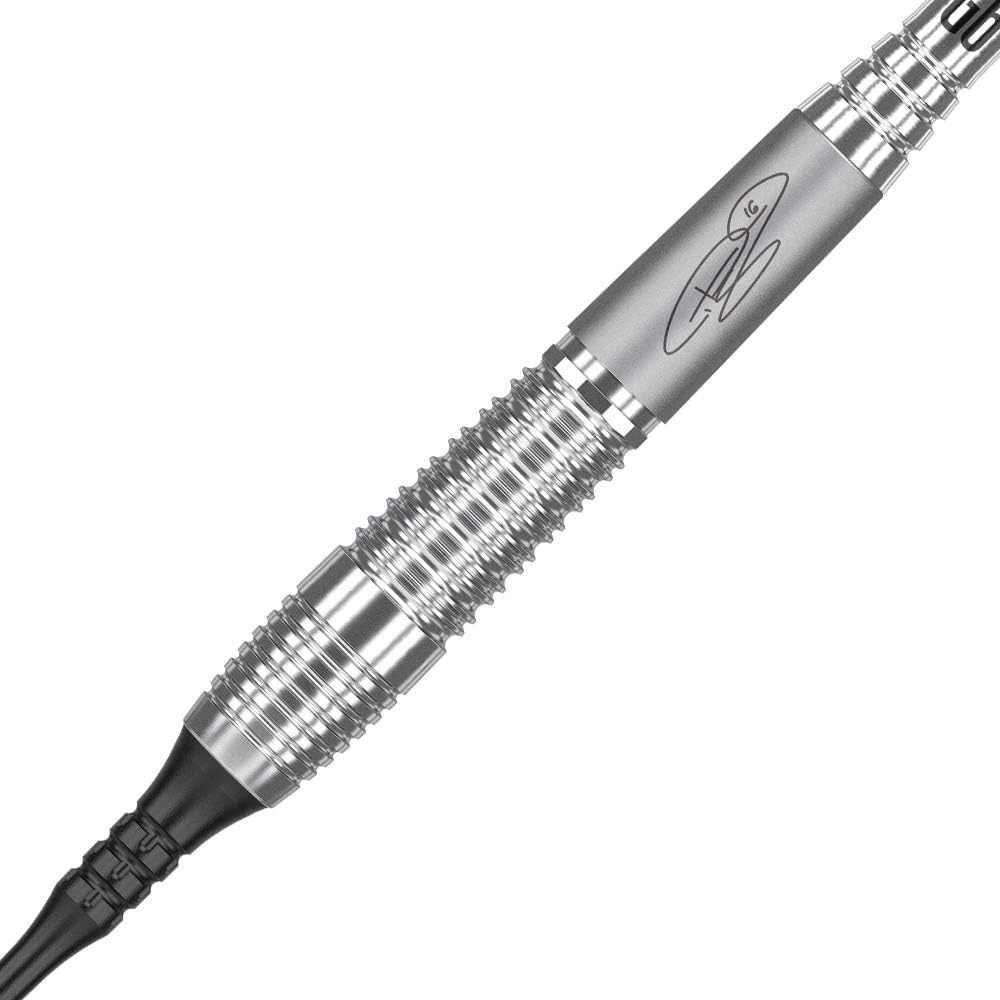 Target Darts Phil Taylor Power 9-Five Gen 6 95% Wolfram Softdarts-Set 18G Silber, 18G Silber