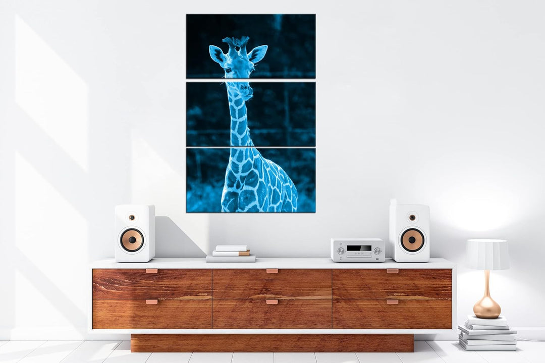 deyoli süsse junge Giraffe Format 120x80 3Teilig Effekt: Monocrome Blau als Leinwandbild, Motiv fert