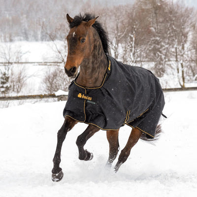 Bucas Weidedecke Winterdecke Outdoordecke Irish Turnout extra (300g) in Black schwarz 115, schwarz 1