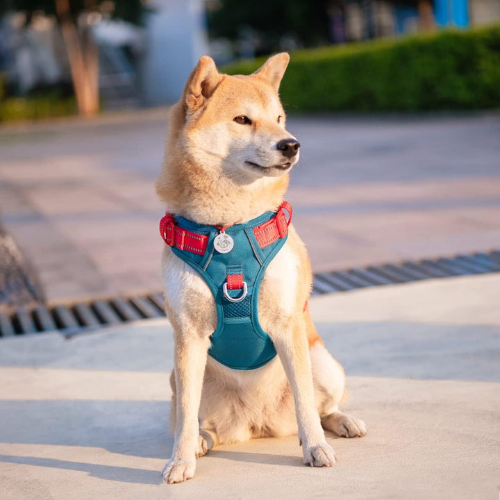 PHOEPET Anti-Zug Hundegeschirr - Reflektierendes Verstellbares Welpen-Sicherheitsgeschirr für kleine