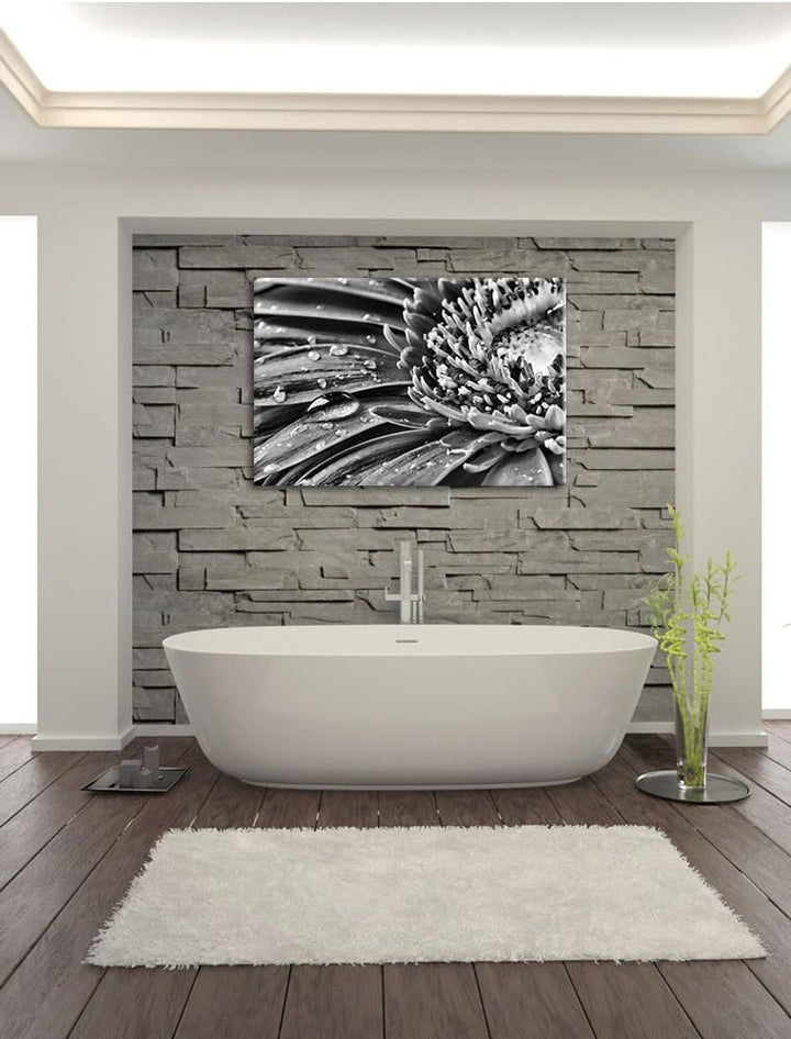 Pixxprint Gerbera mit Wassertropfen / 100x70cm Leinwandbild bespannt auf Holzrahmen/Wandbild Kunstdr