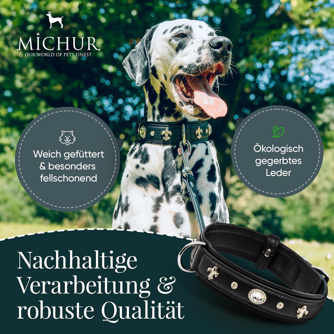 MICHUR Gala Hundehalsband Leder, Lederhalsband Hund, Halsband, Schwarz, Leder, mit Lilien,Strassstei