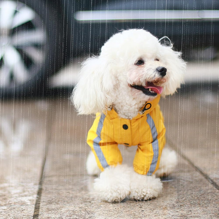 LOS ANDES Regenjacke Hund Wasserdicht für Klein Hunde, Reflektierend, Gelb, S, Polyester, Wasserfest