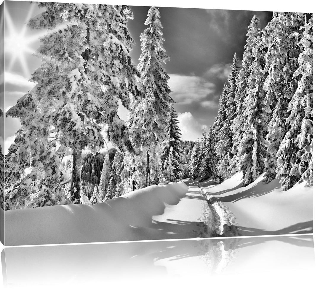 Pixxprint Monocrome, Winterlandschaft Bäume, Format: 100x70 auf Leinwand, 100x70