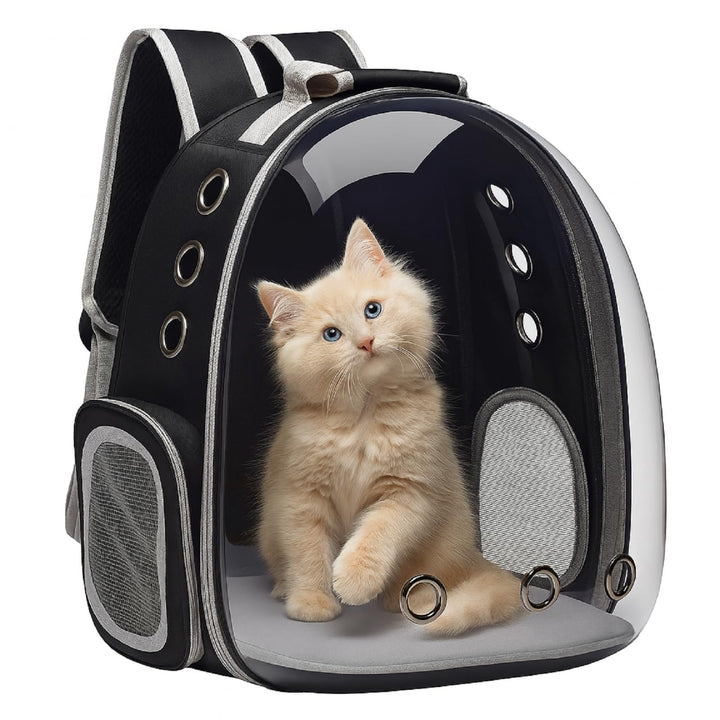 QLS Katzenrucksack – 40x30x28 cm – Transporttasche mit Belüftungslöchern für Katzen und kleine Hunde