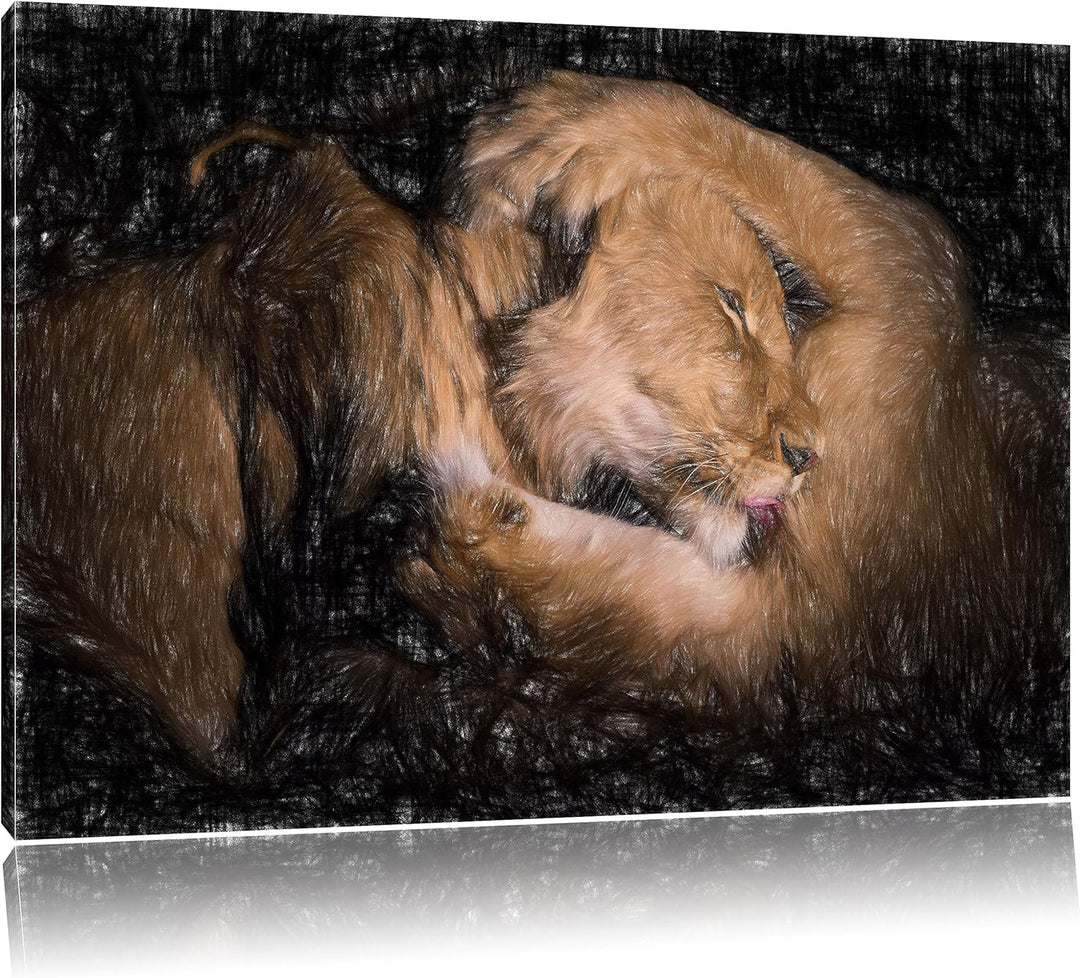 Pixxprint Männer & Frauen Löwe kuscheln als Leinwandbild/Grösse: 100x70 / Wandbild/Kunstdruck/fertig