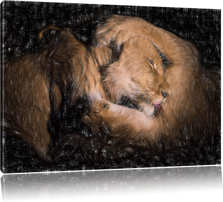 Pixxprint Männer & Frauen Löwe kuscheln als Leinwandbild/Grösse: 100x70 / Wandbild/Kunstdruck/fertig