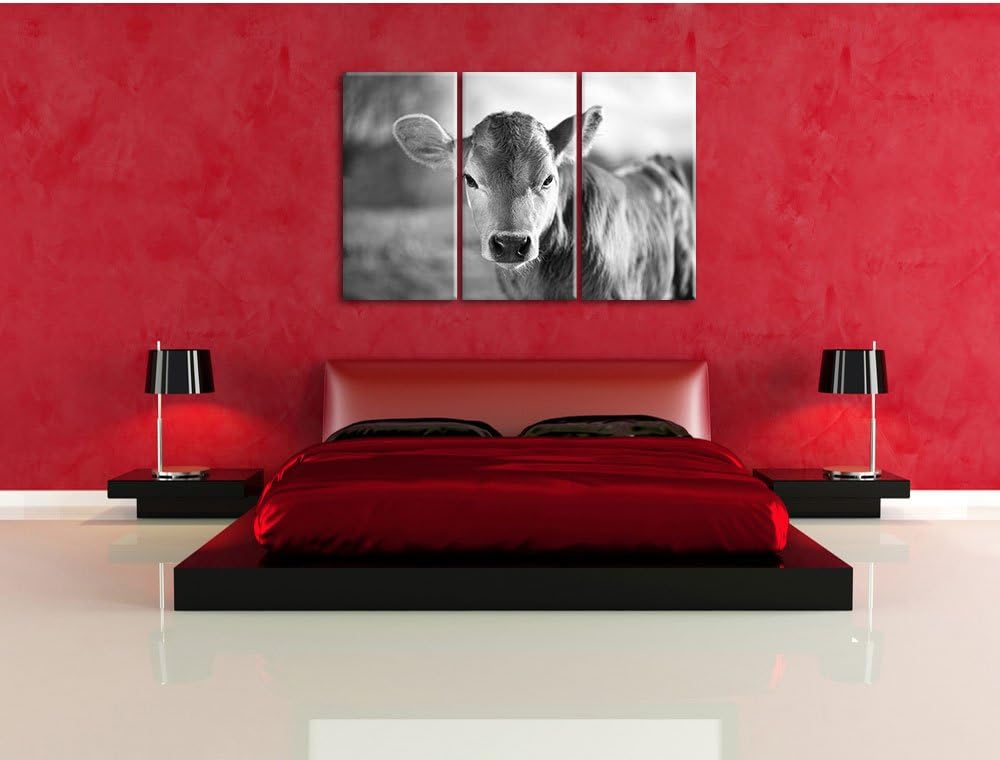 Pixxprint Junge Kuh Kälbchen Kunst B&W als Leinwandbild/Grösse: 3 Teilig (120x80) cm/Wandbild/Kunstd