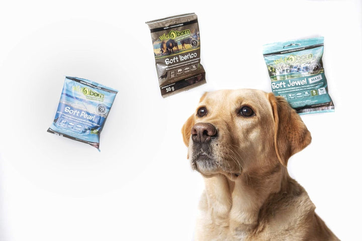 Wildborn SOFT JEWEL 4 kg getreidefreies Hundefutter mit 75% frischem Huhn &amp; Fisch | extra soft Hunde