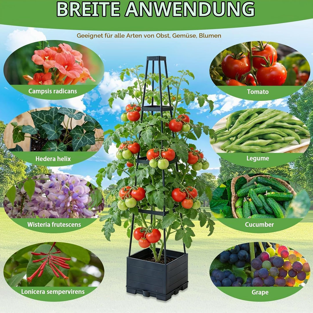 BRGD 2 Pack Selbstbewässerung Tomatentopf mit Rankhilfe, Pflanzkübel Pflanzenstütze für den Anbau vo