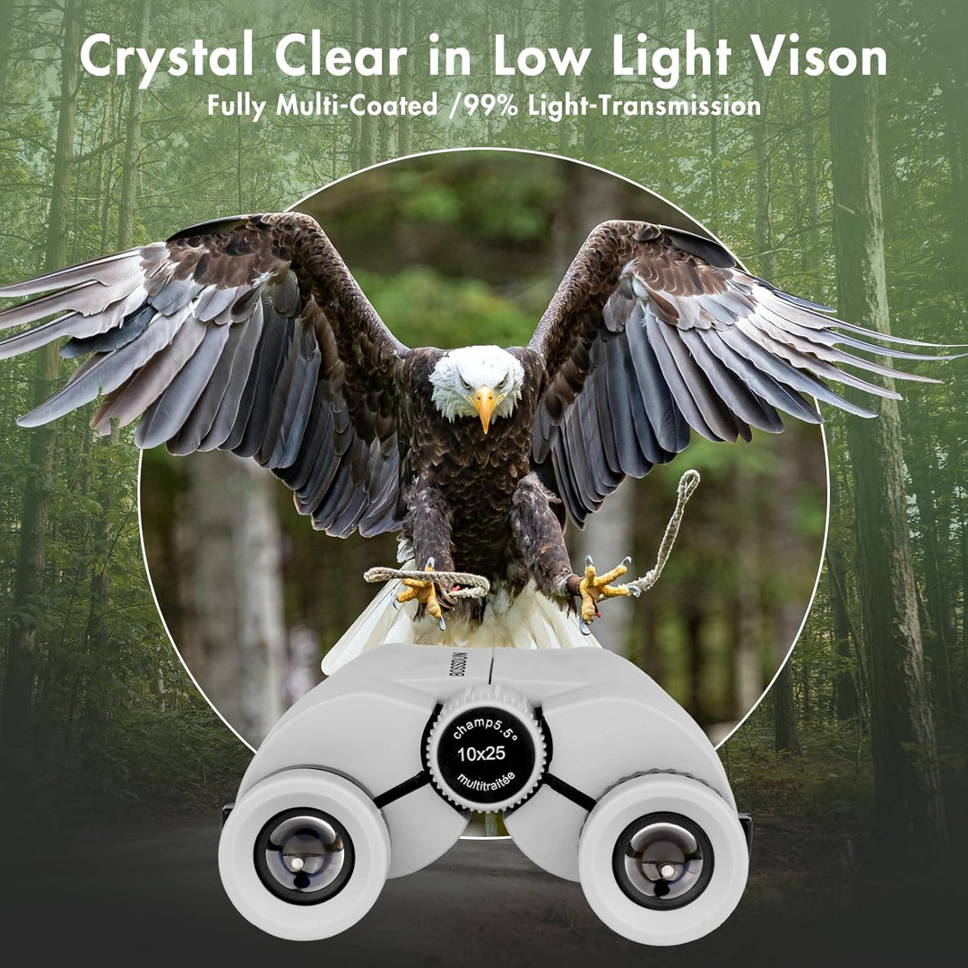 Ferngläser für Erwachsene,10x25 hochleistungsfähiges kompaktes wasserdichtes Fernglas mit klarem BAK