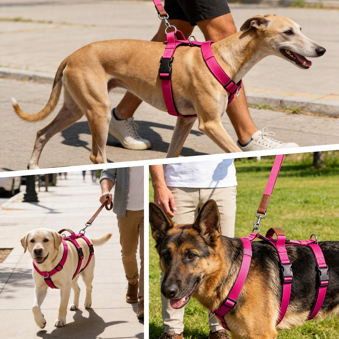 Ausbruchsicheres Hundegeschirr, Anti-Zug Verstellbares Sicherheitsgeschirr mit 3-Punkt-Design und Gr