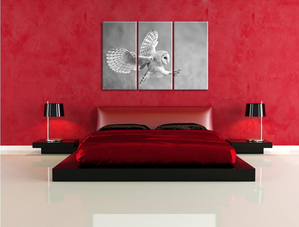 Pixxprint Fliegende Eule bei der Jagd als Leinwandbild/Grösse: 3 Teilig (120x80 cm) cm/Wandbild/Kuns