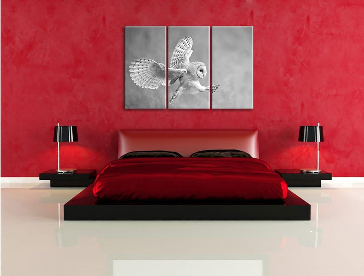 Pixxprint Fliegende Eule bei der Jagd als Leinwandbild/Grösse: 3 Teilig (120x80 cm) cm/Wandbild/Kuns
