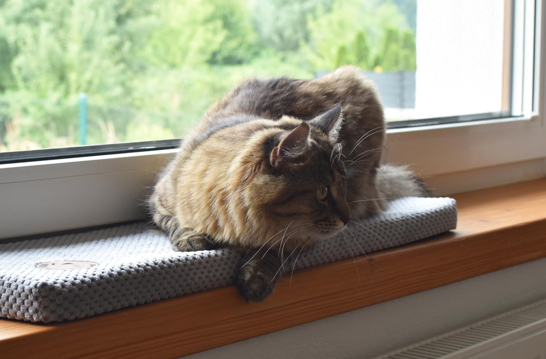 Prime Katzen Fensterliege Für Katzen, Fensterbank mit Einer Rutschfesten Rückseite, Katzenbett Fenst
