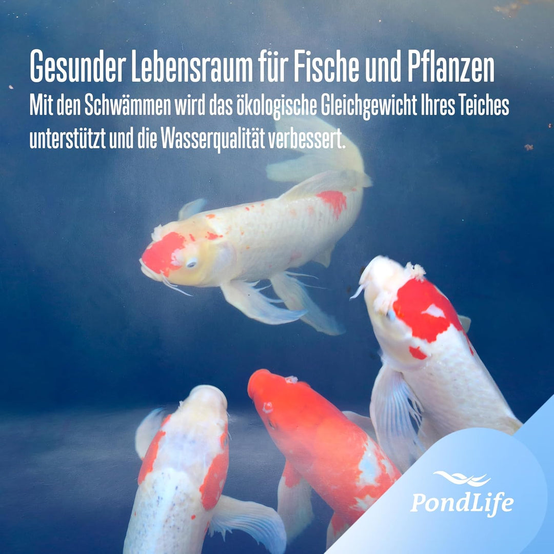 Pondlife Ersatzteil für CBF-Teichfilter - CBF-350 Ersatz-Filterschwämme 2X blau, 2X gelb