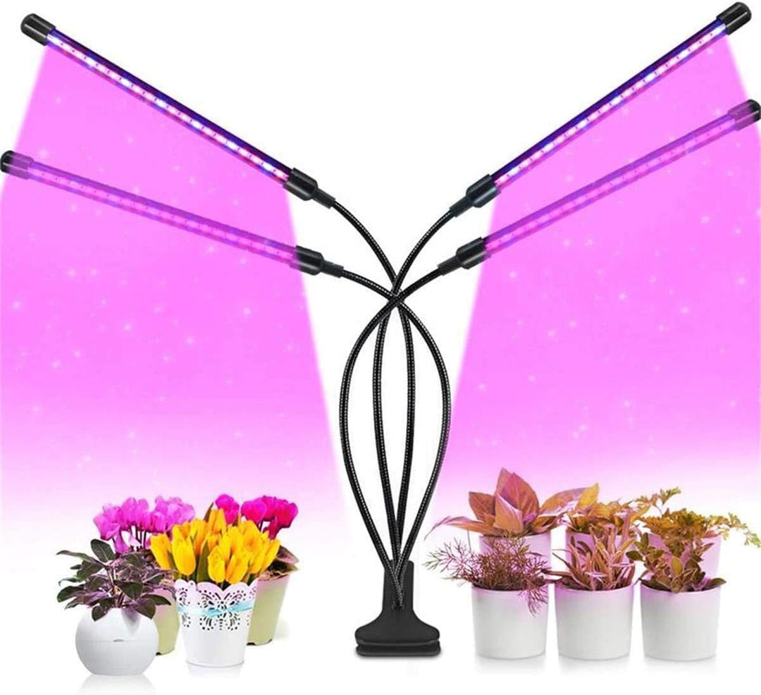 SUNTOUR Federsattelstütze SP12-NCX 31,6 mm schwarz