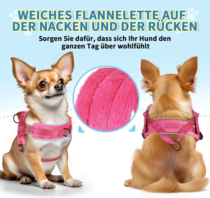 Hundegeschirr mit Leine für mittelgrosse Kleine Hunde, Weich gepolsterter No-Pull Brustgeschirr mit