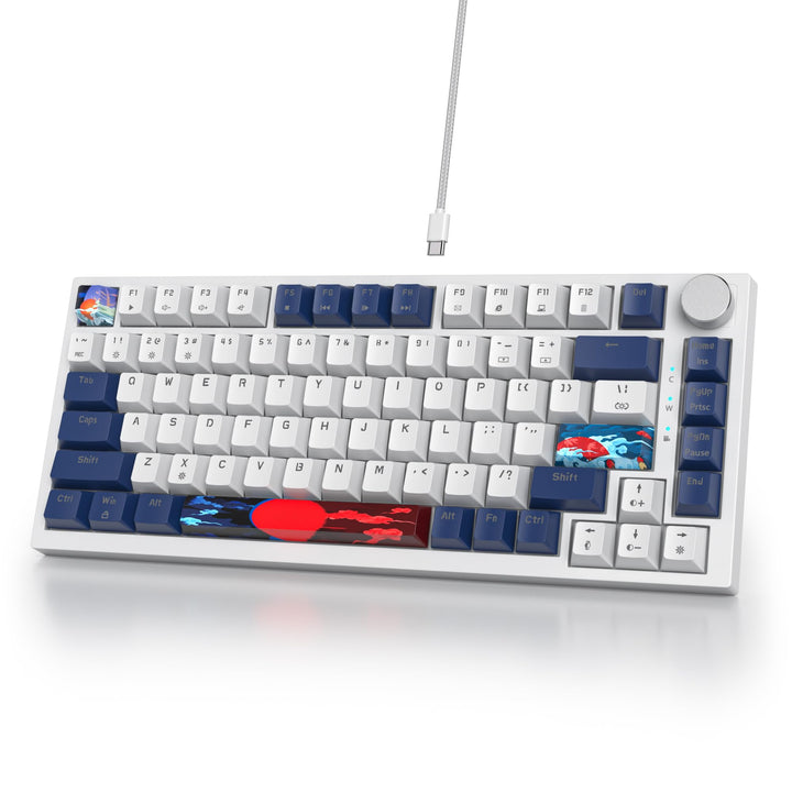 SOLIDEE Verkabelte 75% Mechanische Gaming-Tastatur,hot-swap-fähige Mechanische Tastatur mit Gasket S