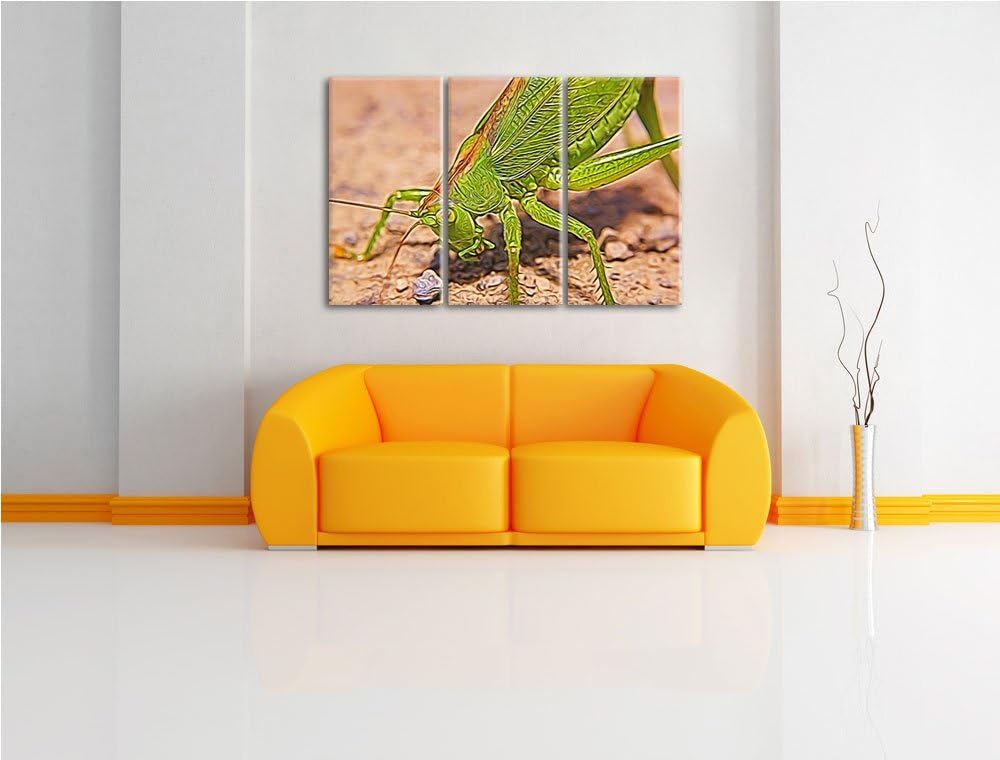 schöne Heuschrecke NewArt 3-Teiler Leinwandbild 120x80 Bild auf Leinwand, XXL riesige Bilder fertig