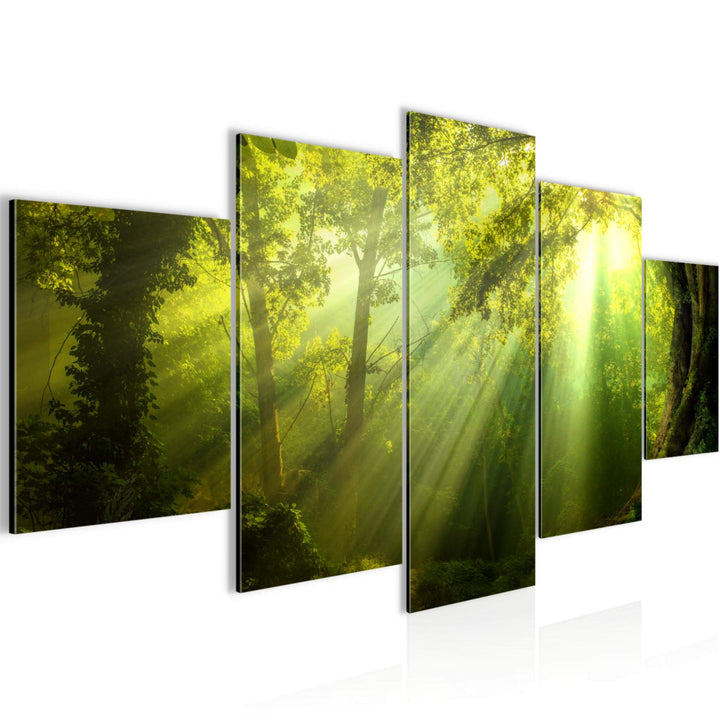 Runa Art Wandbilder Wald Landschaft 5 Teilig Bild auf Vlies Leinwand Deko Schlafzimmer Wohnzimmer So