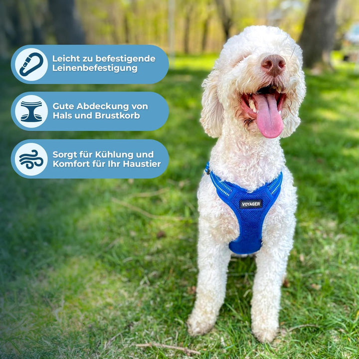 Voyager Verstellbares Hundegeschirr mit Reflektorstreifen by Best Pet Supplies - Strapazierfähige Ga