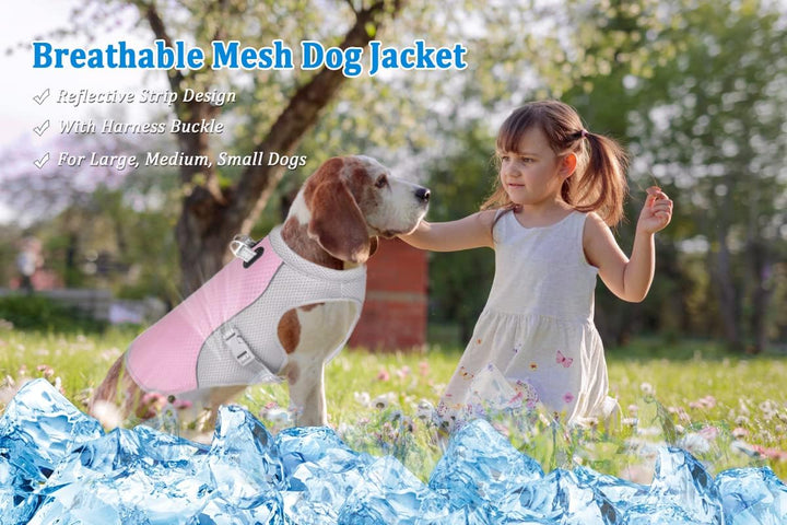 Hundekühlweste Atmungsaktives Mesh Hundejacke Sommer Cooler und Komfortabler Hundemantel Verstellbar