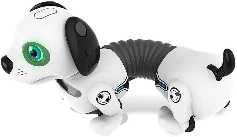 JUNIOR ROBO DACKEL Mehrfarbig, Mehrfarbig