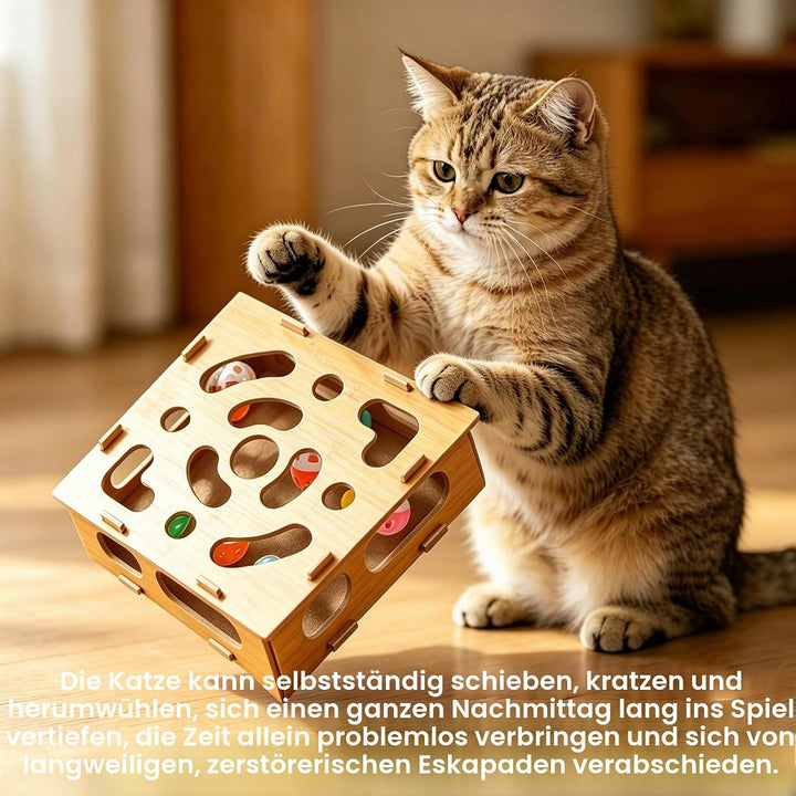 8 Stück Katzenkratzpuzzle Anreicherungsbox,Beschäftigungsbox Krallenfeile Katzen,Interaktives katzen