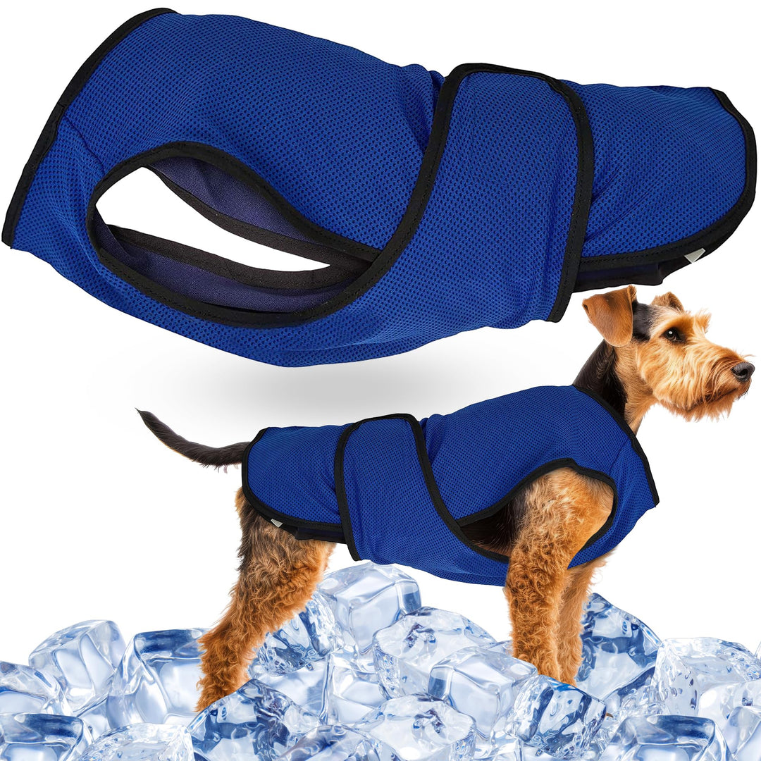 Lautus Pets Hundekühlweste – Leichte Sommerjacke für Kleine Hunde mit Reissverschluss & Klett – Einf