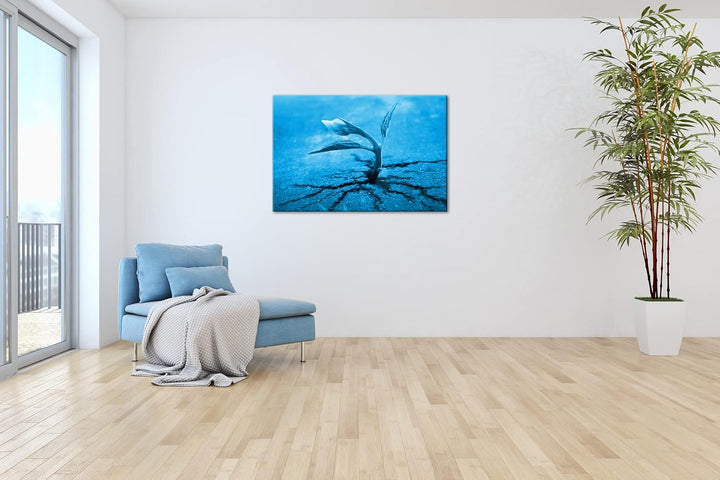 deyoli starke Pflanze wächst durch Asphalt Format 80x60 Effekt: Monocrome Blau als Leinwandbild, Mot