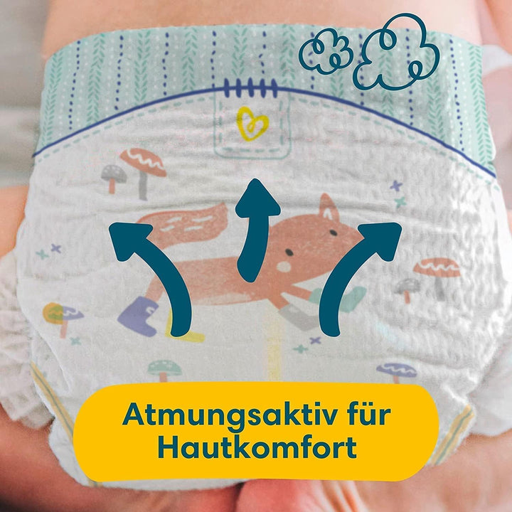 Pampers Premium Protection Baby Set mit Windeln Grösse 2 (4-8kg, 240 Stück) und Grösse 3 (6-10kg, 20