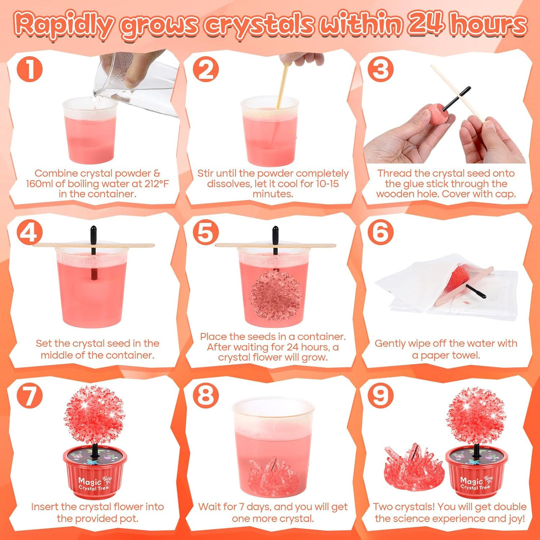 Kristalle züchten selbst(4 Blumen herstellen) 24-stündiges schnelles Wachstum Experimentierkästen,De