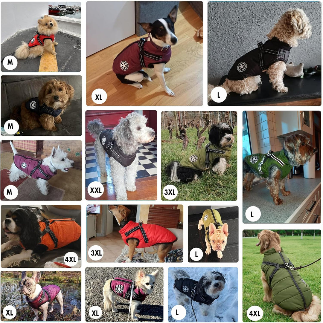 Aiboria Hundejacken für den Winter Winddicht Wasserdicht 2 in 1 Outfit Kaltwettermantel Hundewesteng
