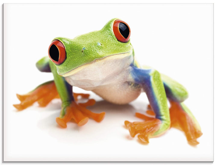 ARTland Glasbilder Wandbild Glas Bild einteilig 60x45 cm Querformat Natur Tiere Amphibien Frosch Lau