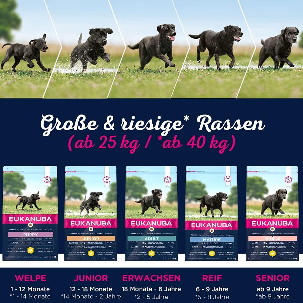 Eukanuba Hundefutter mit frischem Huhn für grosse Rassen, Premium Trockenfutter für Senior Hunde, 15