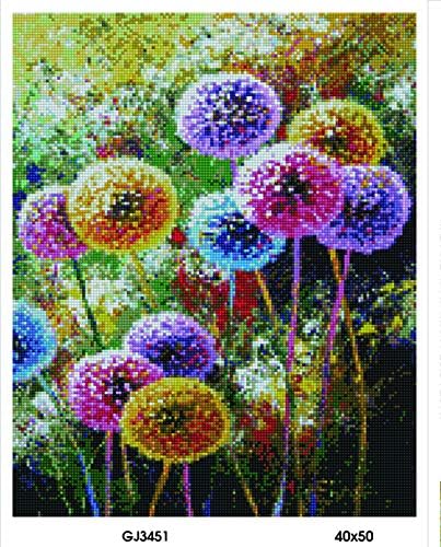 Diamond Vollbedeckung mit Holzrahmen Painting Set Bild 40 x 50 Diamant Malerei Stickerei Handarbeit